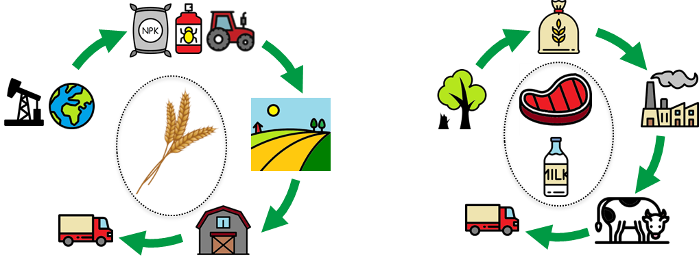 Schéma du cycle de vie des productions agricoles