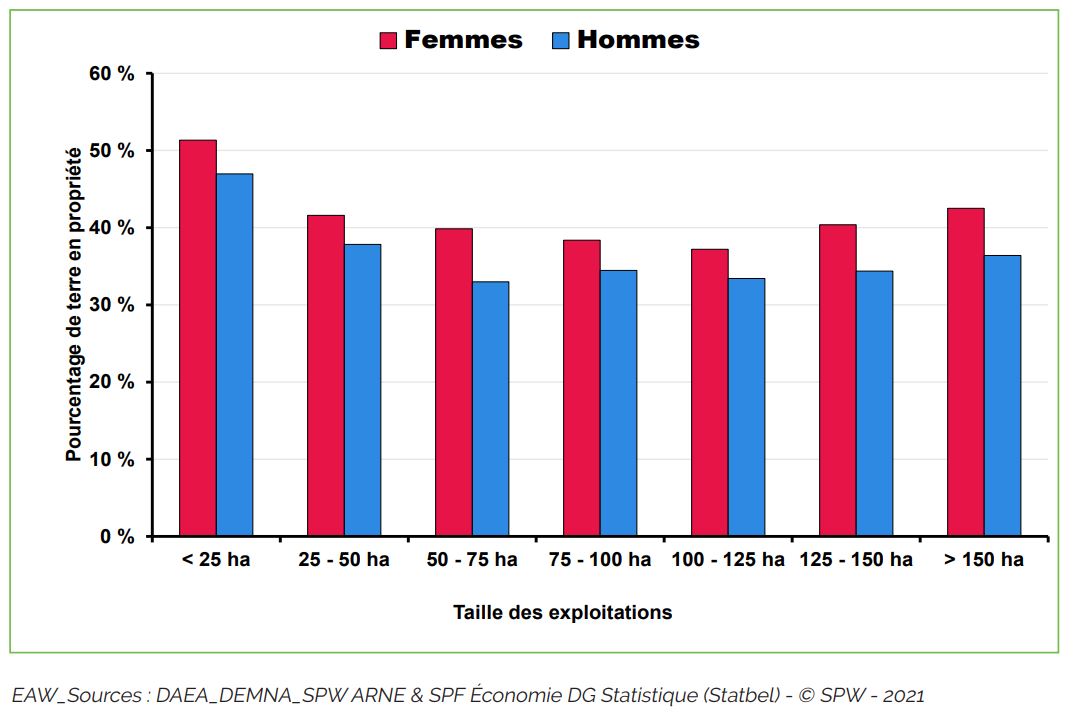 Pourcentage de terres en propriété selon la taille de l'exploitation et le sexe de l'exploitant en 2016