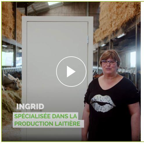 Ingrid